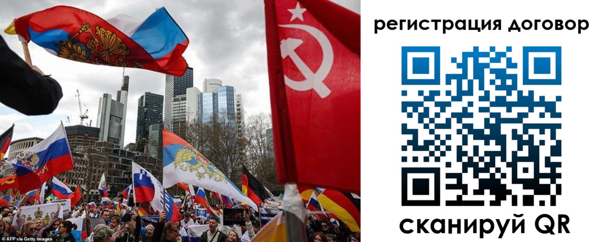 прописка гарантия в Ясном